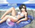 Final Fantasy 7 - Tifa on Beach.jpg